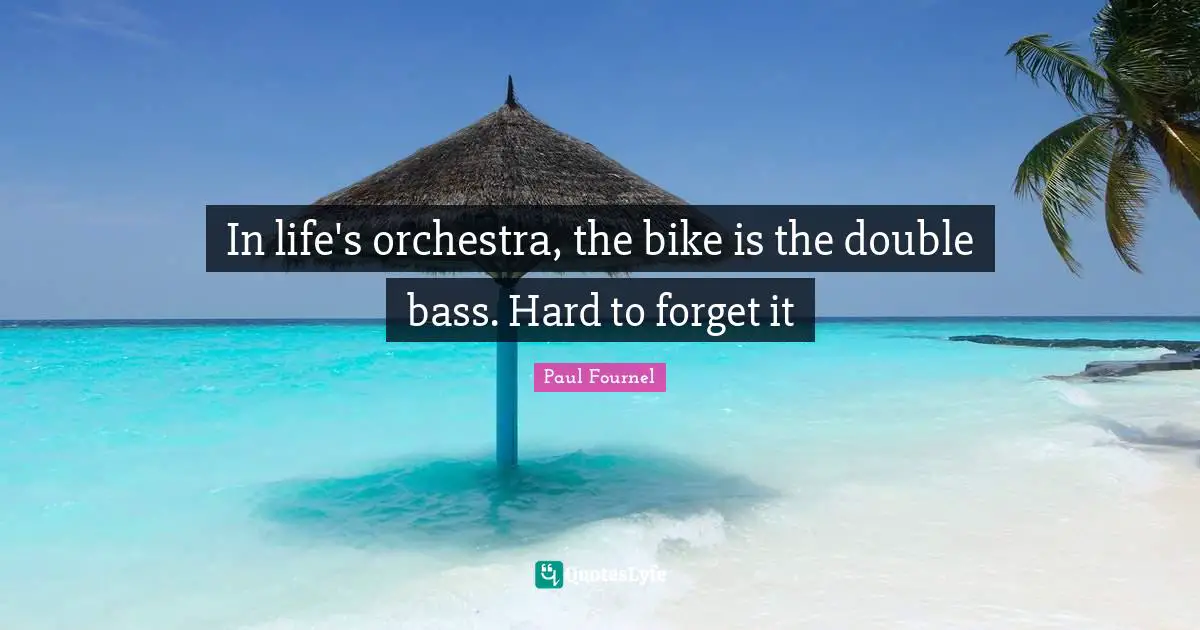 In life's orchestra, the bike is the double bass. Hard to forget it
