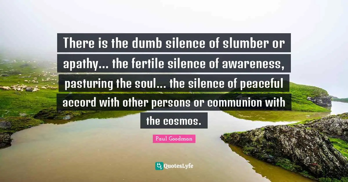There is the dumb silence of slumber or apathy... the fertile silence of awareness, pasturing the soul... the silence of peaceful accord with other persons or communion with the cosmos.