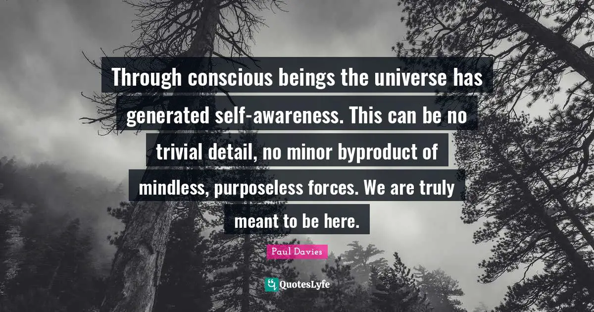 Through conscious beings the universe has generated self-awareness. This can be no trivial detail, no minor byproduct of mindless, purposeless forces. We are truly meant to be here.