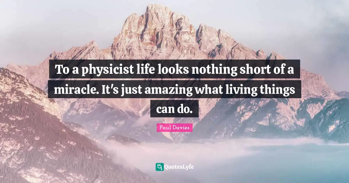 To a physicist life looks nothing short of a miracle. It's just amazing what living things can do.