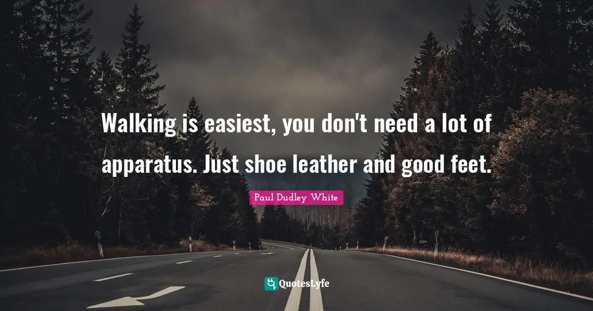 Walking is easiest, you don't need a lot of apparatus. Just shoe leather and good feet.
