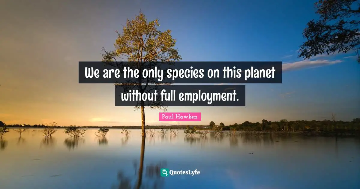 We are the only species on this planet without full employment.