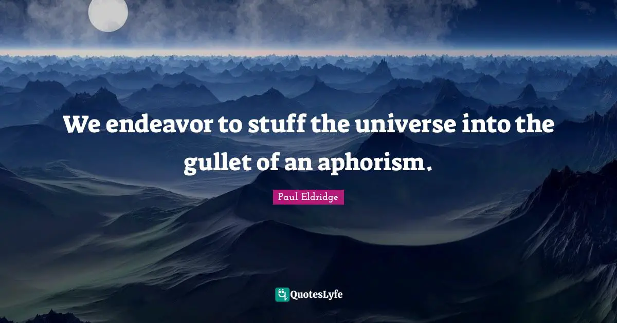 We endeavor to stuff the universe into the gullet of an aphorism.