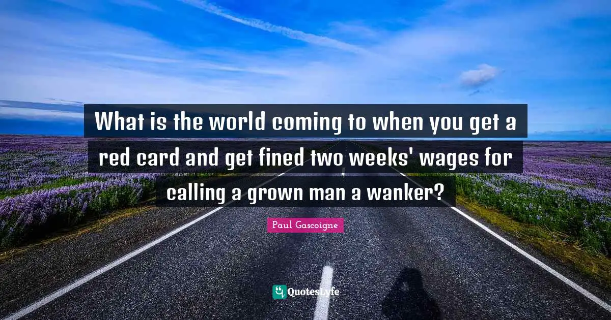 What is the world coming to when you get a red card and get fined two weeks' wages for calling a grown man a wanker?