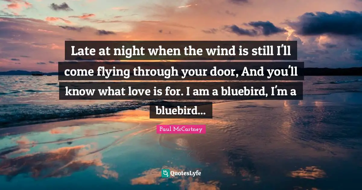 Paul McCartney Quotes: "Late at night when the wind is still I'll come flying through your door, And you'll know what love is for. I am a bluebird, I'm a bluebird..."