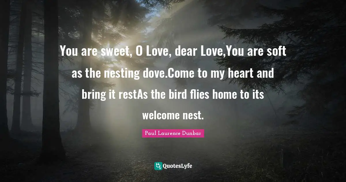 You are sweet, O Love, dear Love,You are soft as the nesting dove.Come to my heart and bring it restAs the bird flies home to its welcome nest.