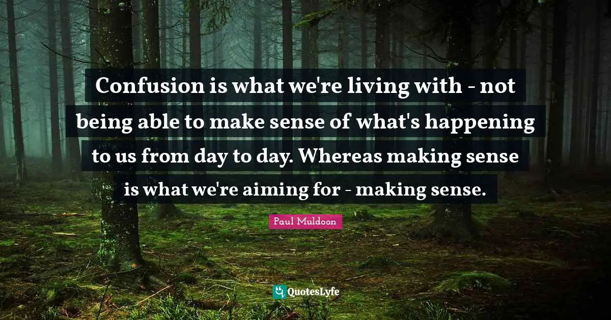 Confusion is what we're living with - not being able to make sense of what's happening to us from day to day. Whereas making sense is what we're aiming for - making sense.