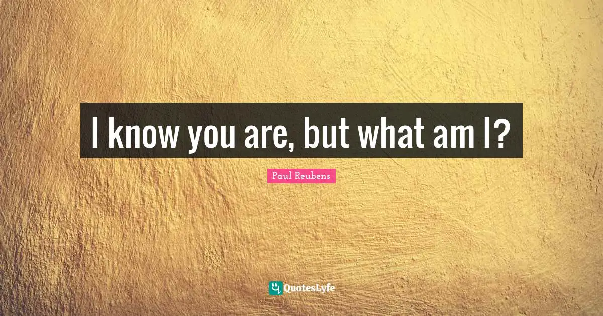 I know you are, but what am I?