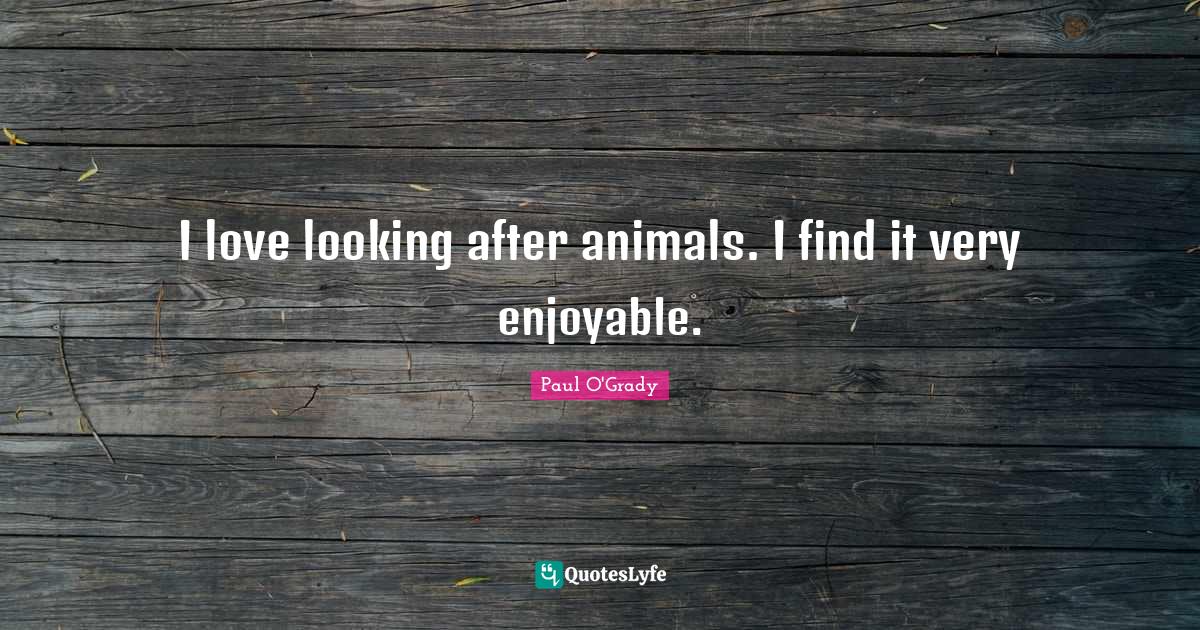 I love looking after animals. I find it very enjoyable.... Quote by Paul O'Grady QuotesLyfe