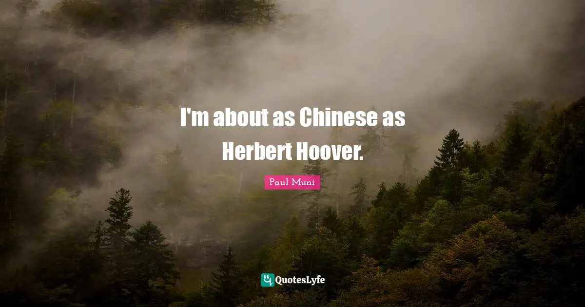 I'm about as Chinese as Herbert Hoover.