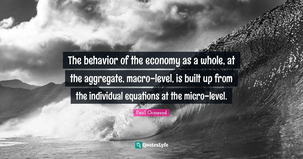 The behavior of the economy as a whole, at the aggregate, macro-level, is built up from the individual equations at the micro-level.