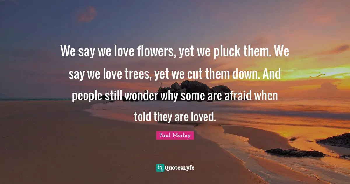 We say we love flowers, yet we pluck them. We say we love trees, yet we cut them down. And people still wonder why some are afraid when told they are loved.