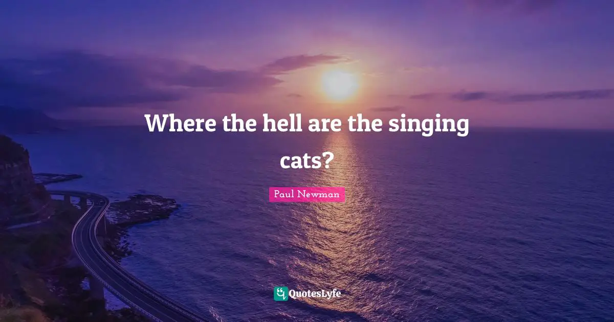 Where the hell are the singing cats?