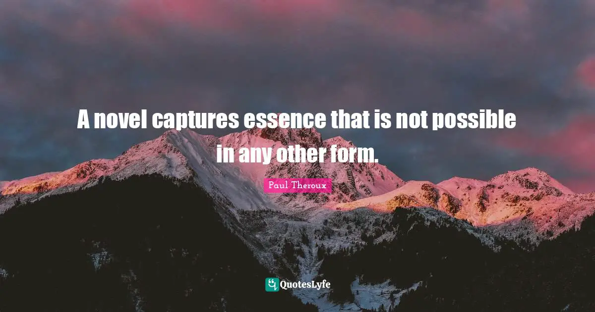 A novel captures essence that is not possible in any other form.