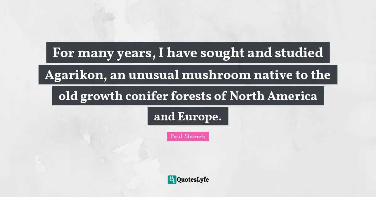 For many years, I have sought and studied Agarikon, an unusual mushroom native to the old growth conifer forests of North America and Europe.