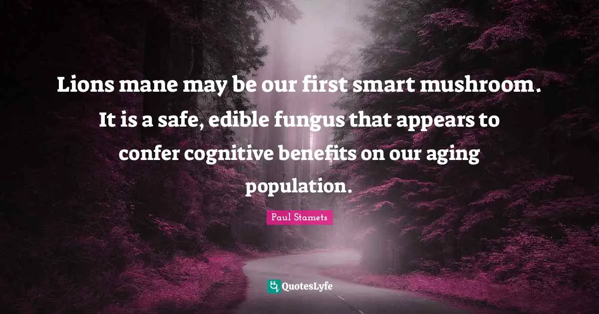 Lions mane may be our first smart mushroom. It is a safe, edible fungus that appears to confer cognitive benefits on our aging population.