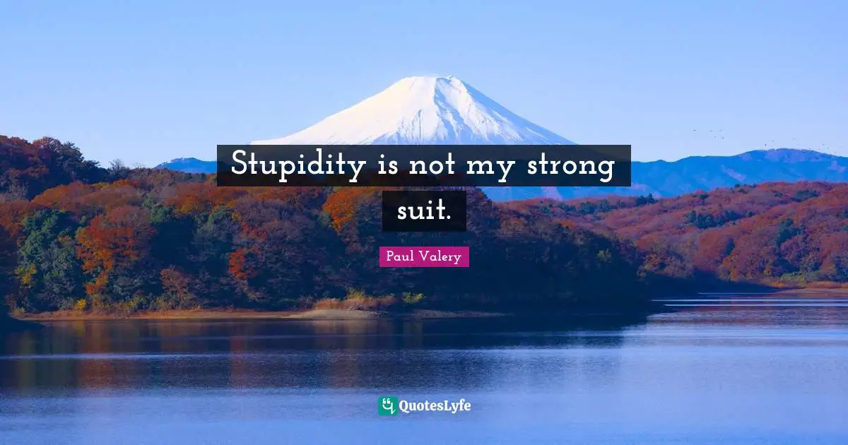Stupidity is not my strong suit.