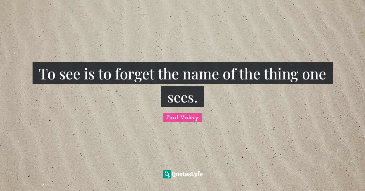 Paul Valery Quotes: "To see is to forget the name of the thing one sees."