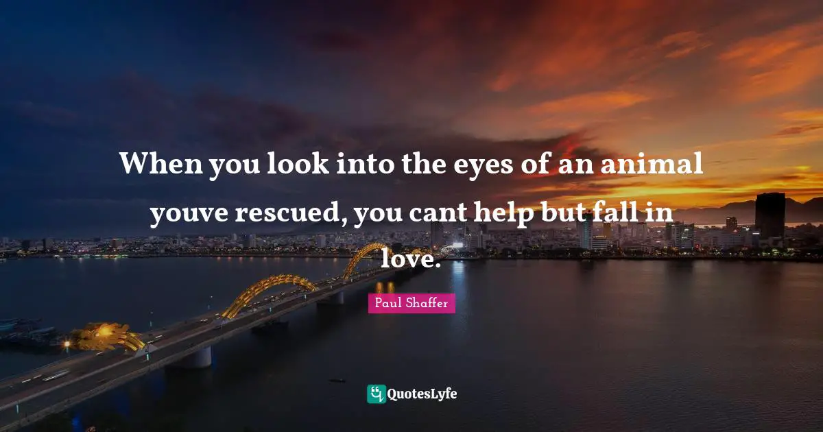 When you look into the eyes of an animal youve rescued, you cant help but fall in love.
