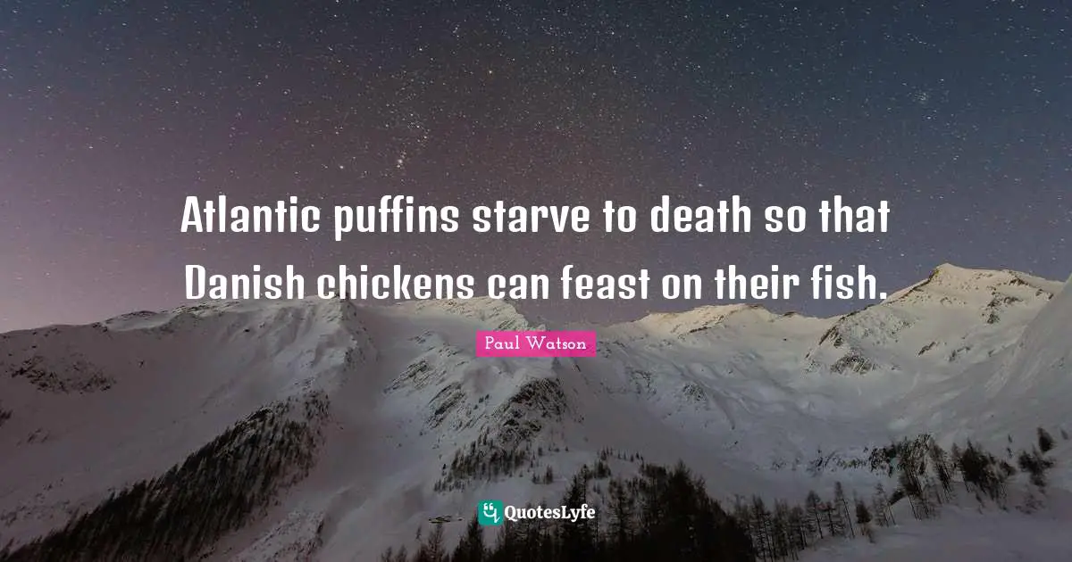 Atlantic puffins starve to death so that Danish chickens can feast on their fish.
