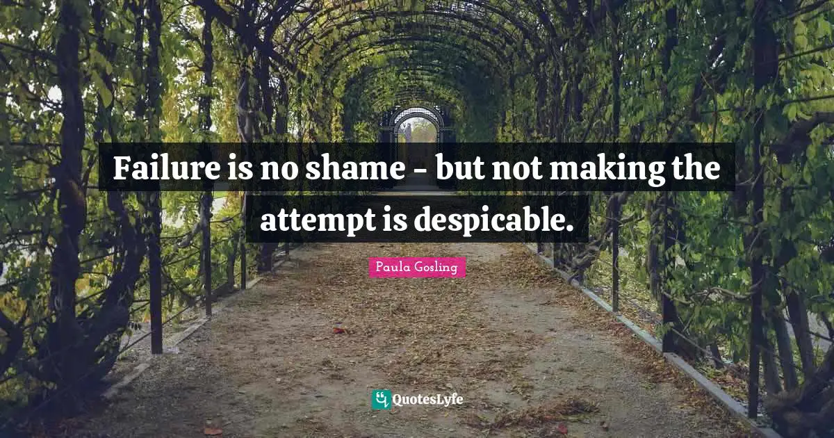 Despicable Quotes: "Failure is no shame - but not making the attempt is despicable."