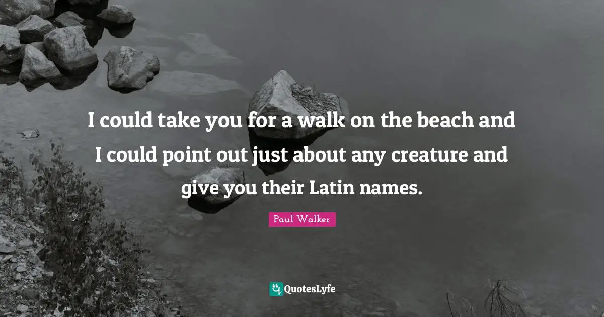 I could take you for a walk on the beach and I could point out just about any creature and give you their Latin names.