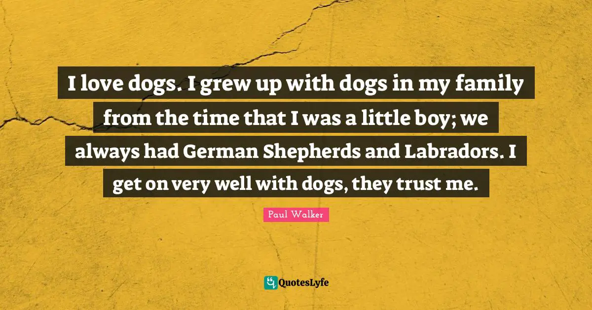 I love dogs. I grew up with dogs in my family from the time that I was a little boy; we always had German Shepherds and Labradors. I get on very well with dogs, they trust me.