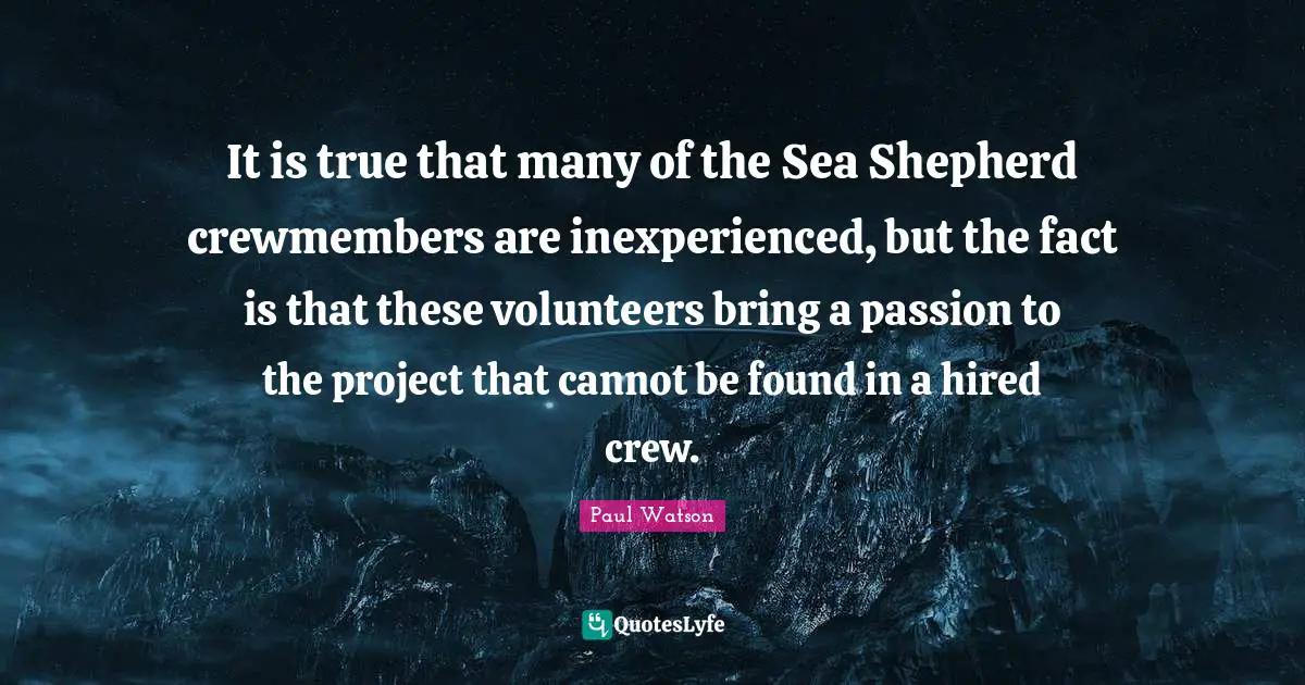 It is true that many of the Sea Shepherd crewmembers are inexperienced, but the fact is that these volunteers bring a passion to the project that cannot be found in a hired crew.