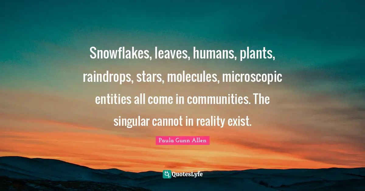 Raindrops Quotes: "Snowflakes, leaves, humans, plants, raindrops, stars, molecules, microscopic entities all come in communities. The singular cannot in reality exist."
