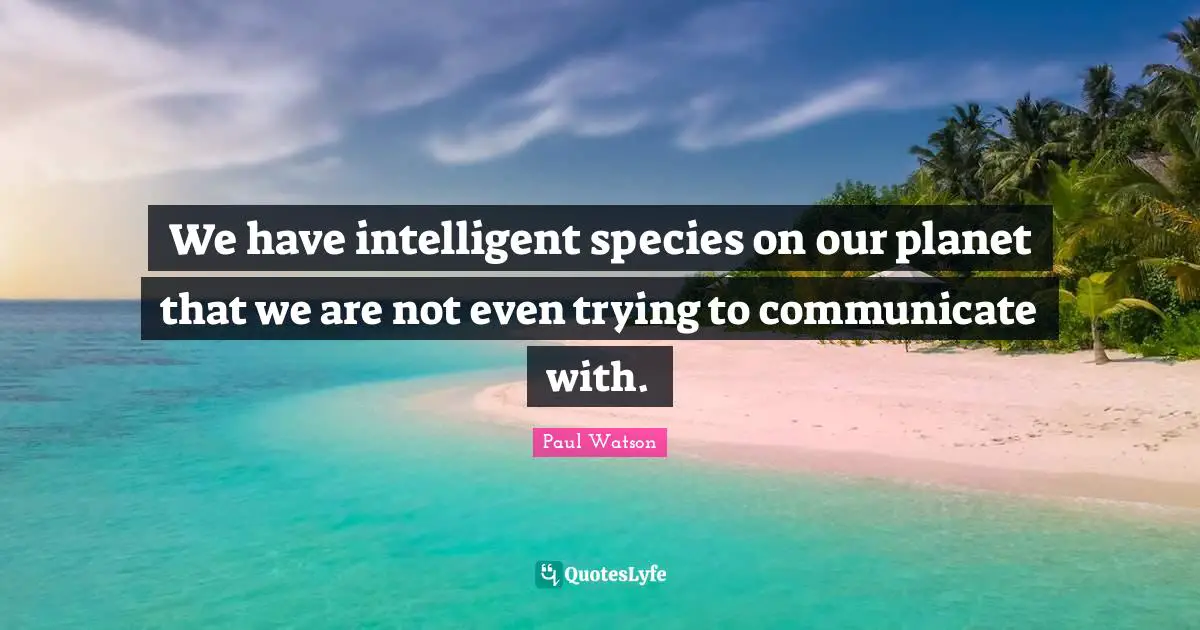 We have intelligent species on our planet that we are not even trying to communicate with.