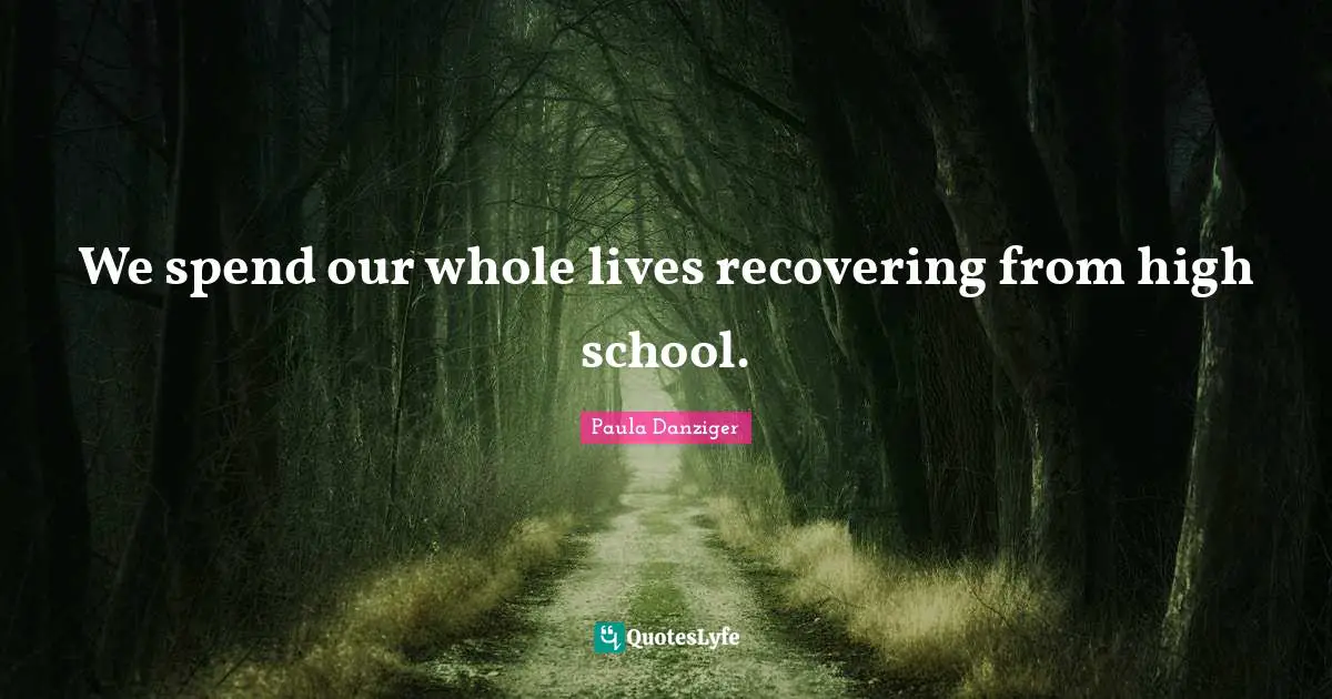 We spend our whole lives recovering from high school.