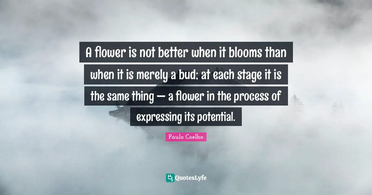 A flower is not better when it blooms than when it is merely a bud; at each stage it is the same thing — a flower in the process of expressing its potential.
