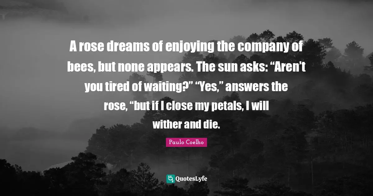 Bees Quotes: "A rose dreams of enjoying the company of bees, but none appears. The sun asks: “Aren’t you tired of waiting?” “Yes,” answers the rose, “but if I close my petals, I will wither and die."