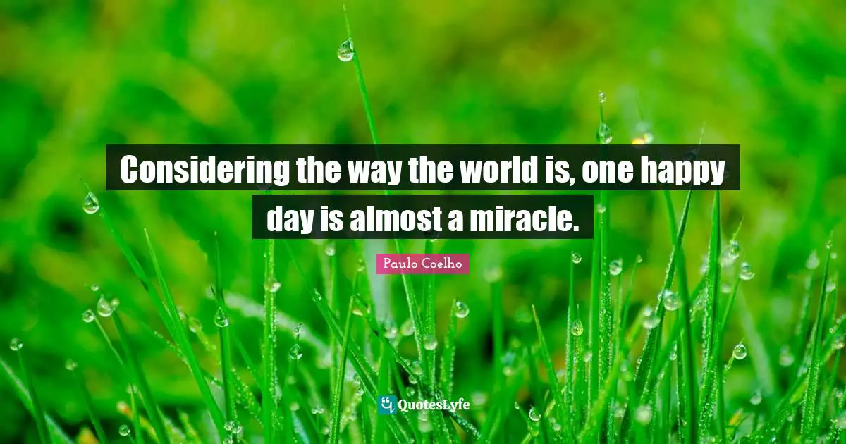 Considering the way the world is, one happy day is almost a miracle.