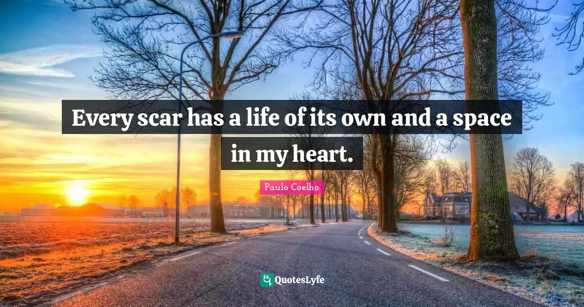 Every scar has a life of its own and a space in my heart.