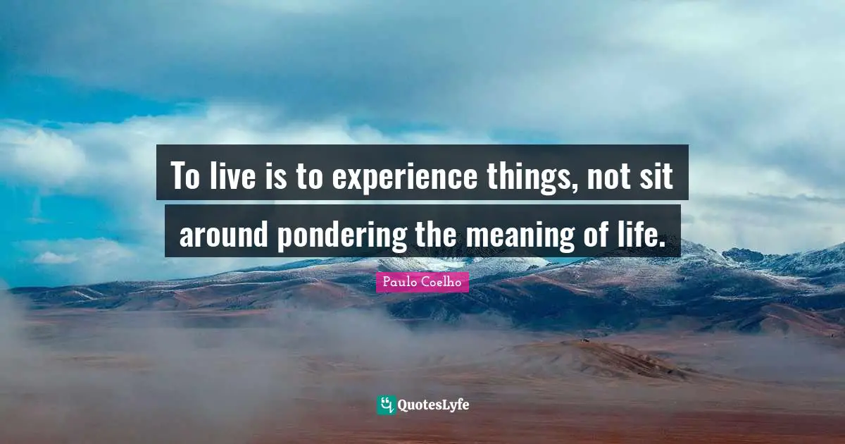 Life Experience Quotes: "To live is to experience things, not sit around pondering the meaning of life."