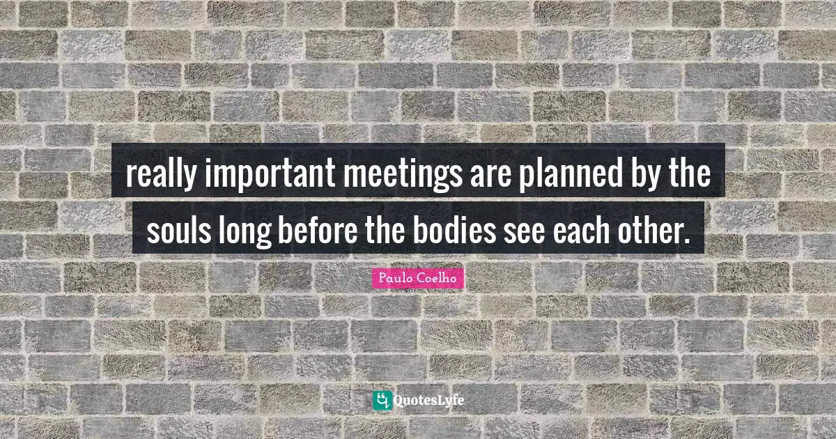 really important meetings are planned by the souls long before the bodies see each other.