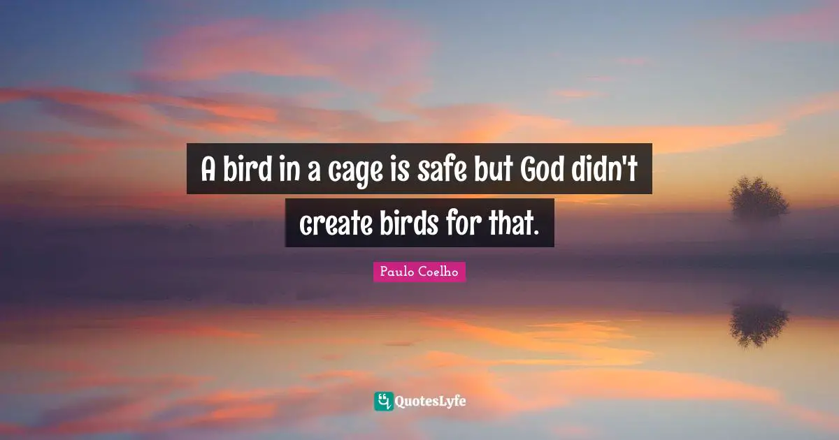A bird in a cage is safe but God didn't create birds for that.