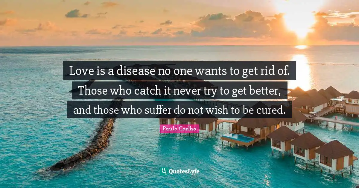 Love is a disease no one wants to get rid of. Those who catch it never try to get better, and those who suffer do not wish to be cured.