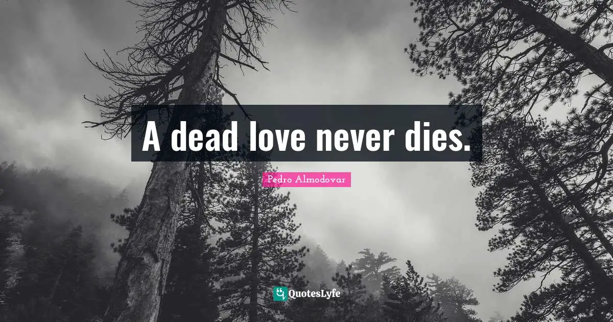 A dead love never dies.