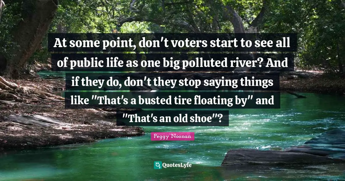 At some point, don't voters start to see all of public life as one big polluted river? And if they do, don't they stop saying things like "That's a busted tire floating by" and "That's an old shoe"?
