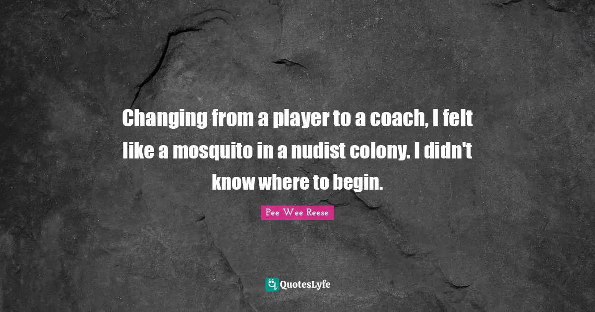 Mosquitoes Quotes: "Changing from a player to a coach, I felt like a mosquito in a nudist colony. I didn't know where to begin."
