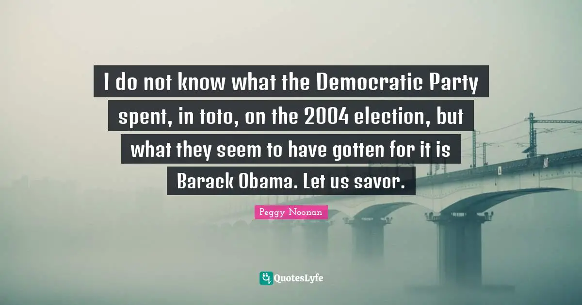 I do not know what the Democratic Party spent, in toto, on the 2004 election, but what they seem to have gotten for it is Barack Obama. Let us savor.