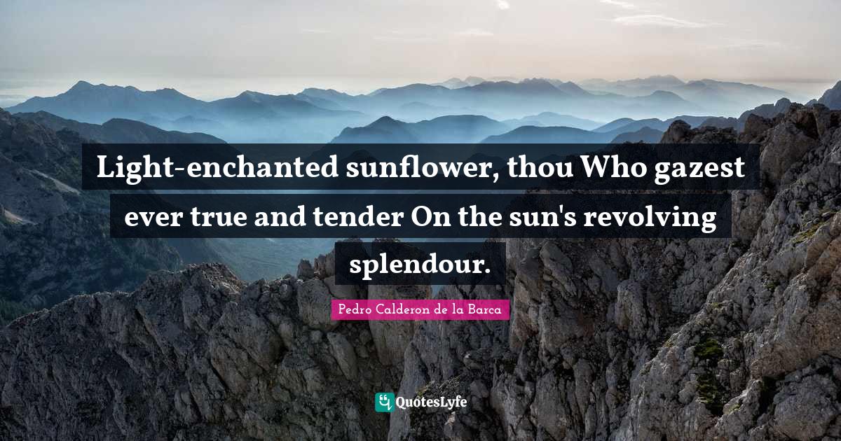 Sun Quotes: "Light-enchanted sunflower, thou Who gazest ever true and tender On the sun's revolving splendour."