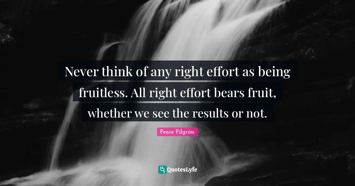 Never think of any right effort as being fruitless. All right effort bears fruit, whether we see the results or not.