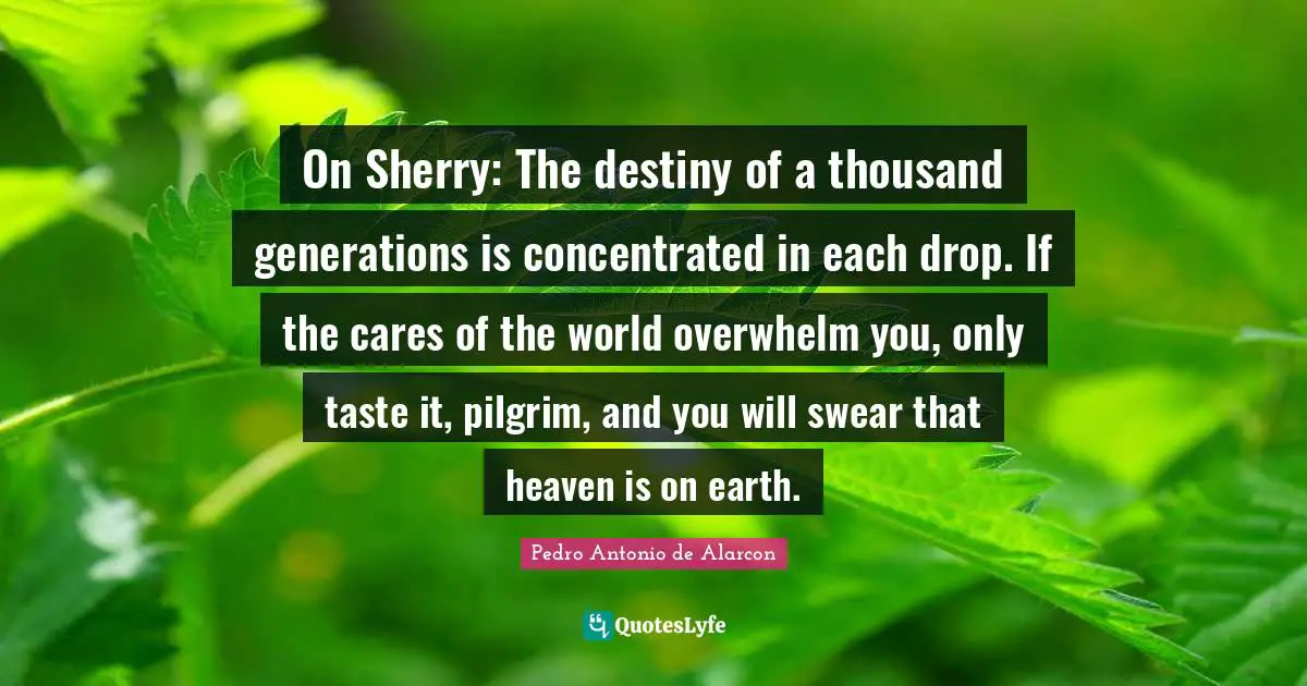 On Sherry: The destiny of a thousand generations is concentrated in each drop. If the cares of the world overwhelm you, only taste it, pilgrim, and you will swear that heaven is on earth.