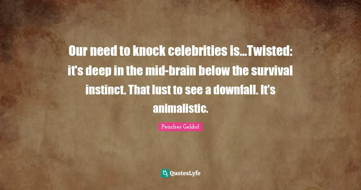 Our need to knock celebrities is...Twisted: it's deep in the mid-brain below the survival instinct. That lust to see a downfall. It's animalistic.
