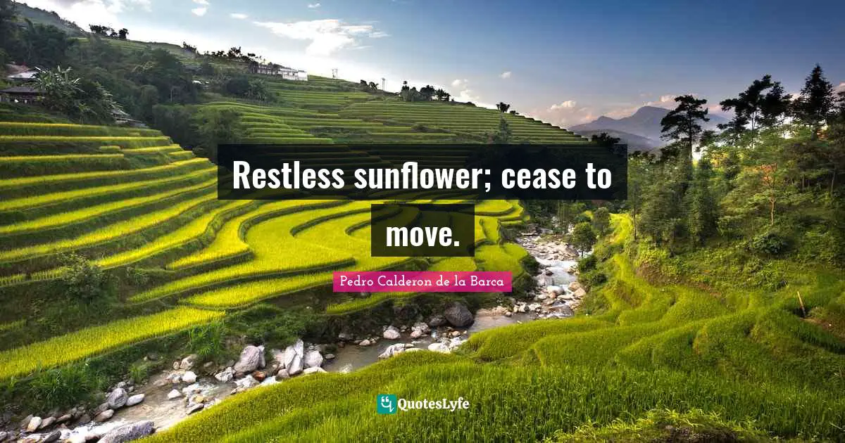 Restless sunflower; cease to move.