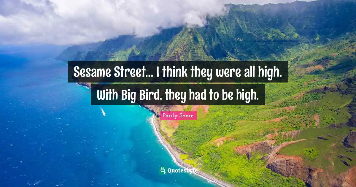 Pauly Shore Quotes: "Sesame Street... I think they were all high. With Big Bird, they had to be high."