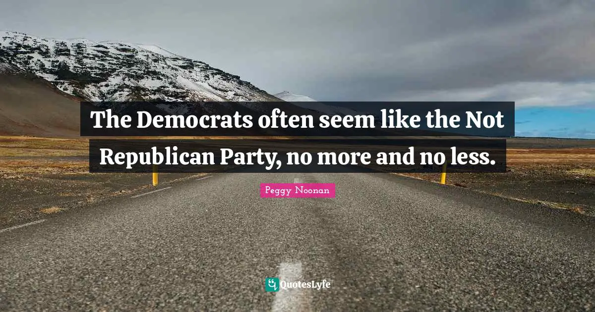 The Democrats often seem like the Not Republican Party, no more and no less.